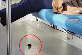 车厢惊现老鼠乘客抬腿避让，南京地铁：若属实，将对车厢进行消杀图片