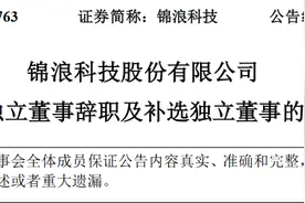 锦浪科技股份有限公司独立董事郑亮辞职图片