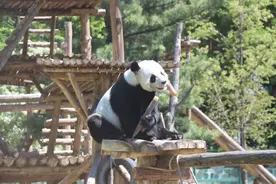 @哈尔滨人，端午去哪浪？推荐这些好去处！注意营业时间↘图片