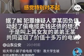 男子带准大学生小舅子偷电缆双双被刑拘：感觉特对不起他，耽误了他的大好前程图片
