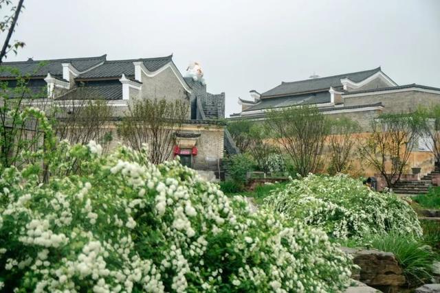 江右名镇名村行 | 吉安市吉州区兴桥镇钓源村：七星伴月 山水之乐