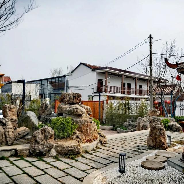 济南驻村第一书记带你自驾行 • 游乡村 | 济阳篇：黄河岸畔的历史与田园交响