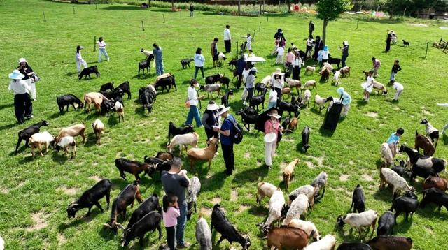 71.44万人次打卡！安宁“双节”玩出文旅新花样