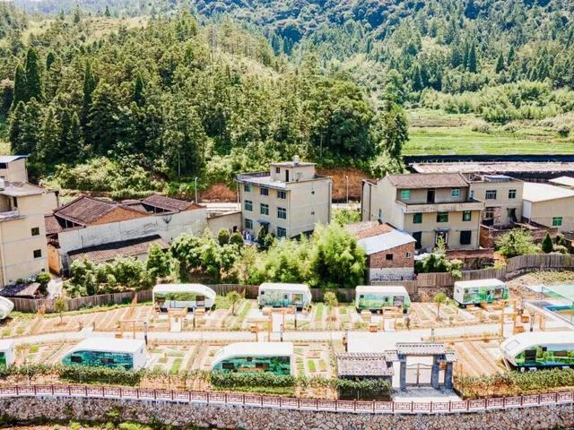 这里的柿子可以摘！代溪镇，距四坪仅12公里，2天1夜烹茶酌酒，玩转非遗！