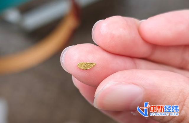 “金矿游”火了 游客花30元可淘金