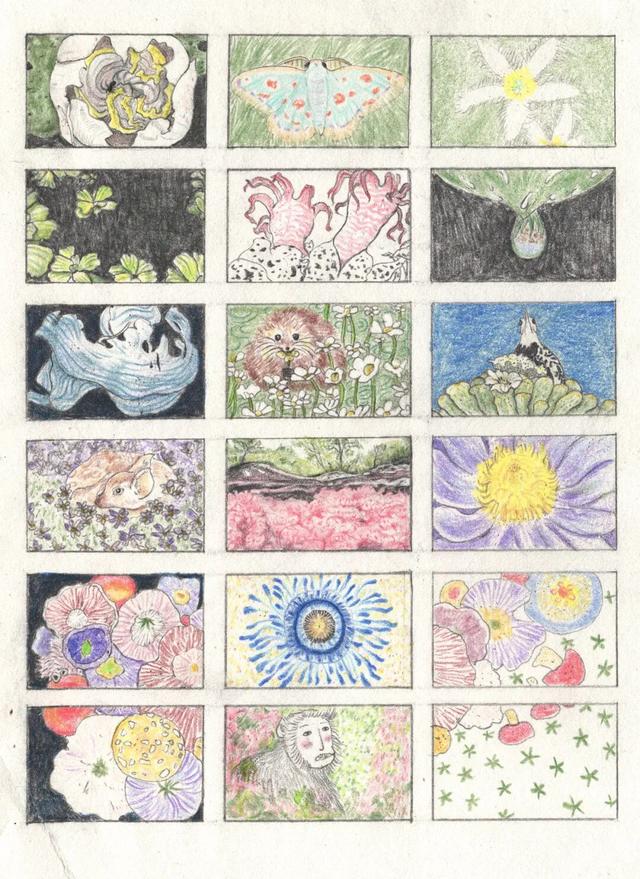 为什么现在不下小时候那样的大雪了