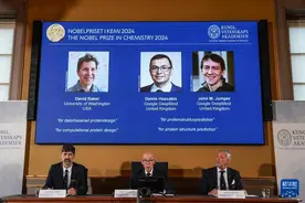 三名科学家因破解蛋白质结构密码分享2024年诺贝尔化学奖图片