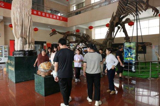 石头“开花”  恐龙“复活” 解读天宇自然博物馆的流量密码