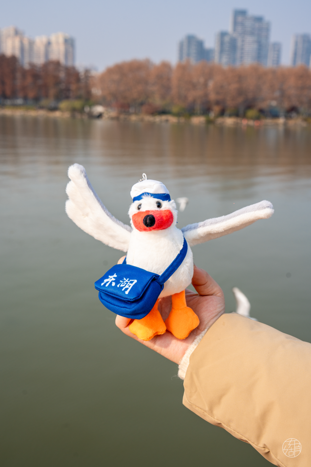 年末扫「货」，东湖年度文创清单出炉！