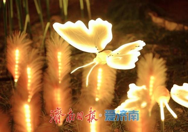 一年四季 泉在济南丨迎春花灯亮化测试，五龙潭公园点亮“花涧秘境”