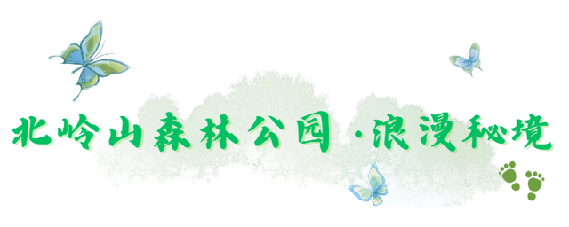 你们想要的「明星同款」打卡地，我们挖到啦！