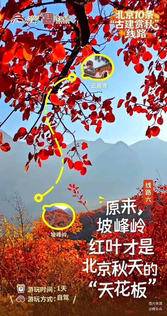 古建赏秋，才是北京的秋日限定