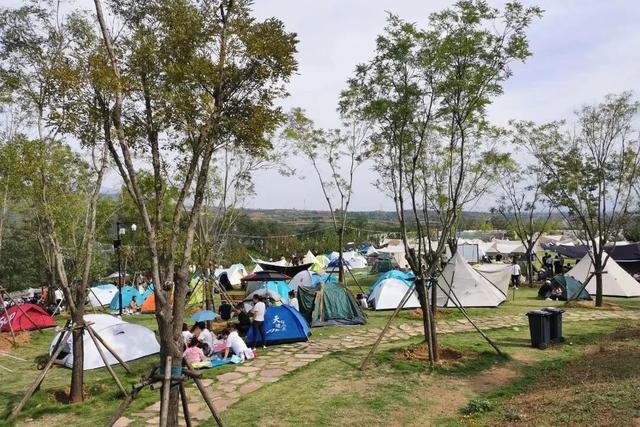 “双节”洛阳文旅放大招！免票、半价、折扣齐上阵