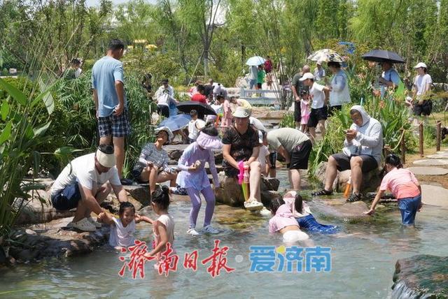 一年四季 泉在济南丨泉声叮咚迎客至 盛夏济南“泉水游”持续火热