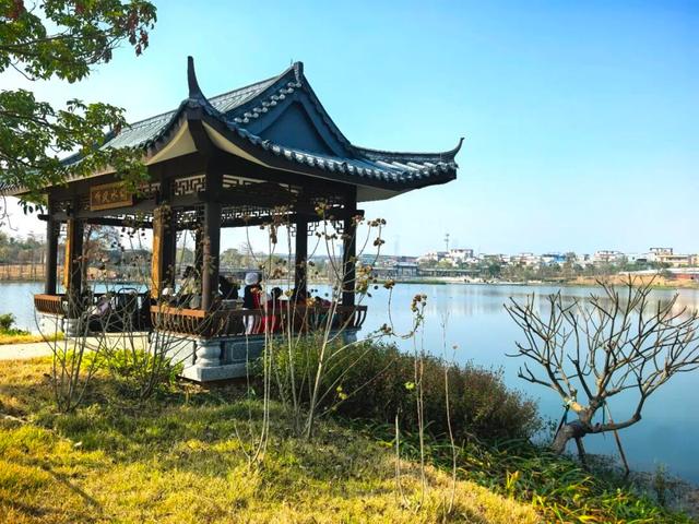 大批市民游客打卡！增城又一公园迎来试开园→