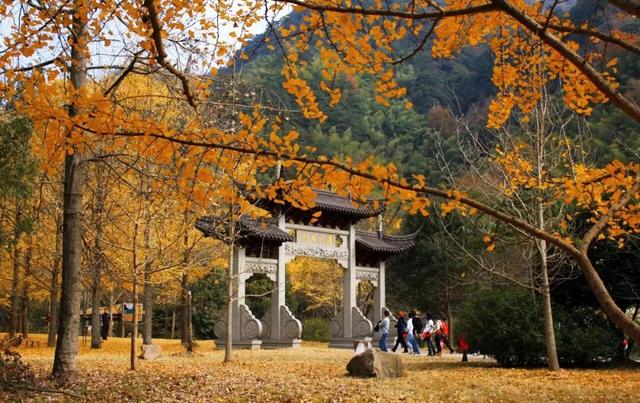 藏不住了！诸暨9个村，周末走起~