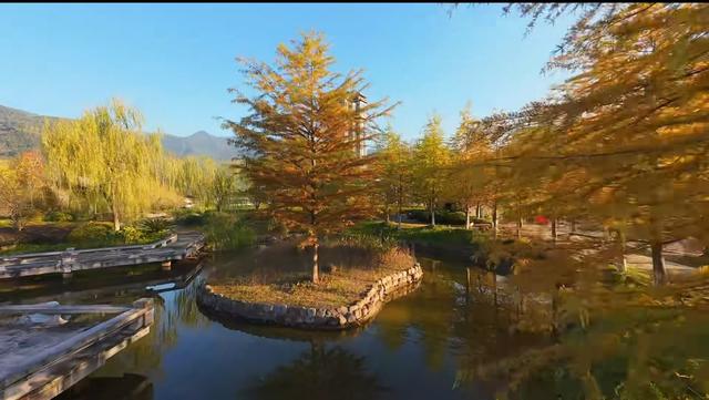 晚潮｜千峡湖畔，正是红橙黄绿时