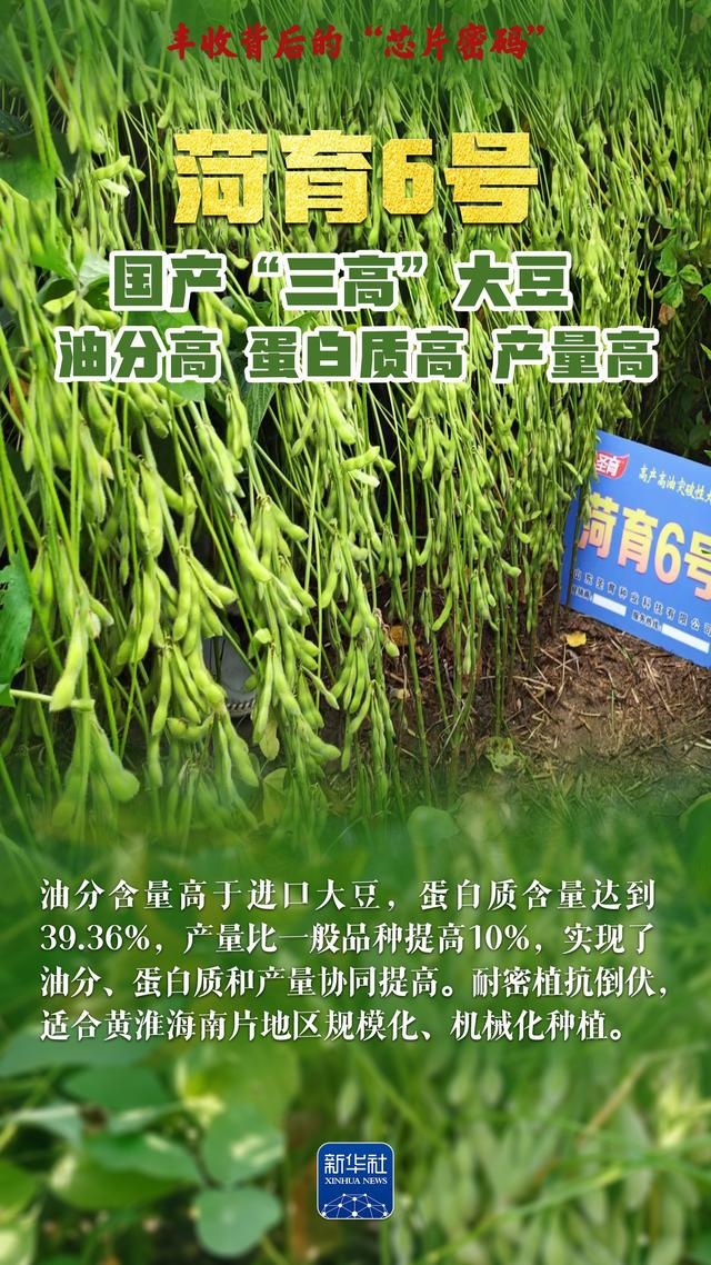 丰收背后的“芯片密码”