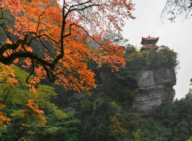 国庆中秋打卡闽清丨一键收藏，开启你的雅趣之旅