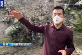 记者探访洛杉矶山火重灾区：一路都烧成灰烬了图片