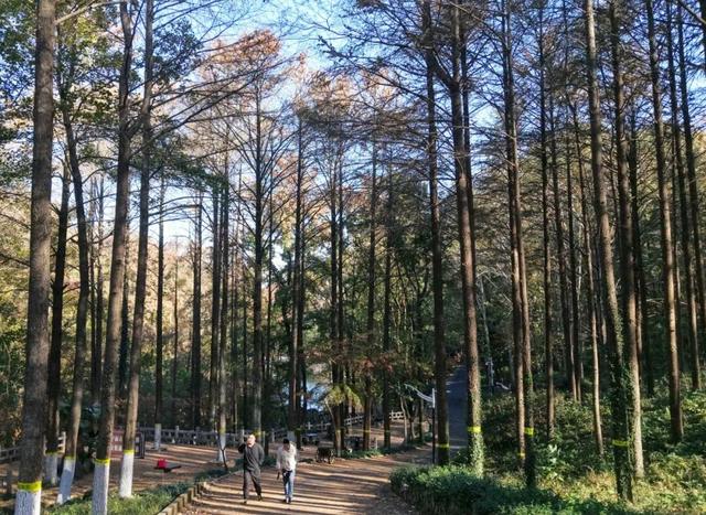 高光频现，火爆出圈！就在巢湖这里…