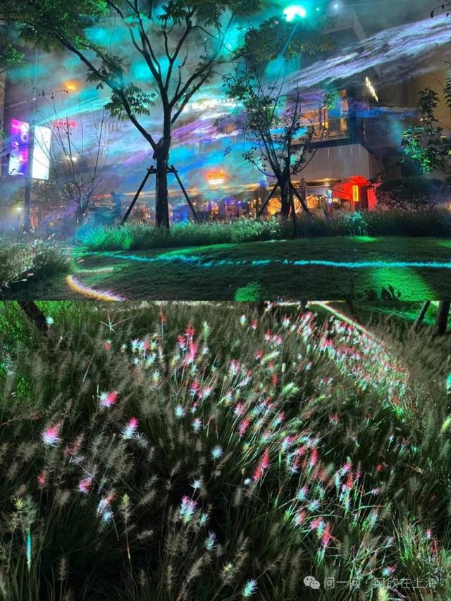 美味寻踪、光影为宴，国庆邂逅上海“最美夜”与“最惠价”