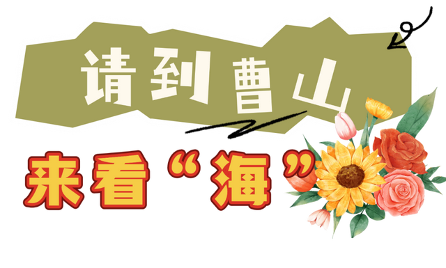 常州，又开始涨“粉”了！