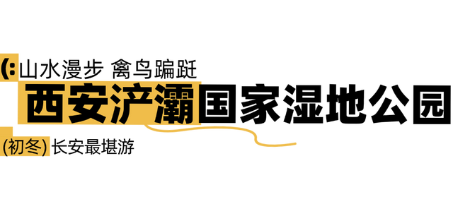 美绝！西安初冬的含金量还在上升！