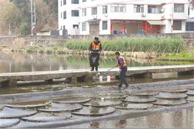 福安溪柄：守护碧水清流 绘就生态画卷图片