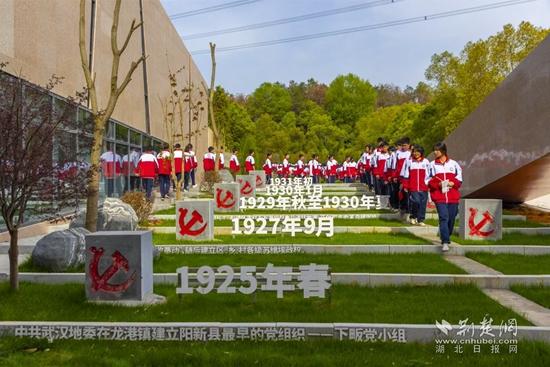 东湖评论丨“诗画阳新”，是一场多彩的浪漫远征