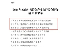 威海1家！2024年度山东省特色产业集群前10位名单公布图片
