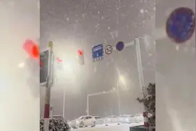 “雪窝子”又下大雪，烟台苹果树却因雪得“福”图片