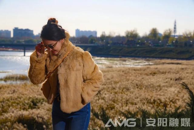 视觉安阳丨风吹殷墟芦苇白 水净天青入画来