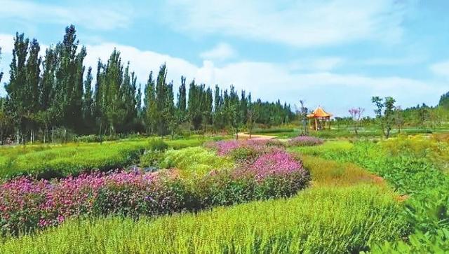 【文化·旅游】山水画卷中的金川峡