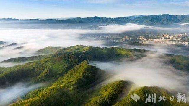 用好“凉资源”激活“热经济”——竹溪县打造消夏避暑胜地