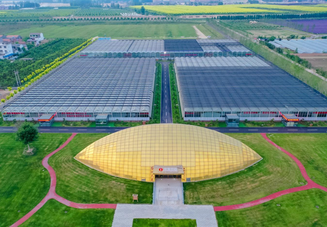 双节游商丘攻略！五条精品线路涵盖研学、遛娃、康养……