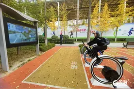 加码“绿色幸福感”，青岛冲刺“千园之城”图片