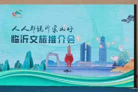 精彩纷呈！临沂文旅亮相RCEP区域（山东）进口商品博览会图片