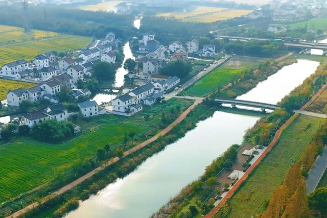 碧水黛瓦织锦绣！这个上海小镇，把江南诗篇写进了现实