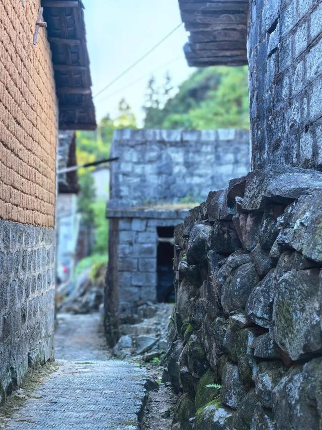 深山里的宝藏古村，藏着“与世隔绝”的慢生活
