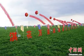 （身边的变化）从田间到餐桌：在河南浚县看一颗花生的“蝶变”图片