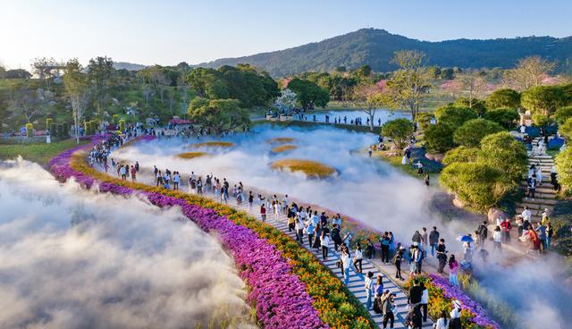 广西南宁：水雾弥漫绚烂花海 市民乐享冬日浪漫
