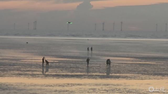 现场堪比“越狱”！上海这一网红打卡点，安全风险不容忽视