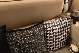 月租8800元，我还是租到了有毒“串串房”图片