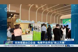 支持受困出口企业 电商平台开出“线上方案”视频封面
