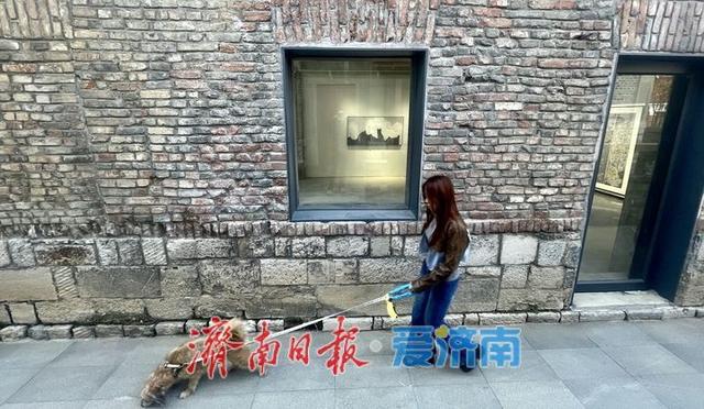 秋色映古韵 济南上新街老建筑成打卡热点