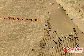 【陇拍客】甘肃张掖：“核心攻坚区” 秋季治沙忙图片