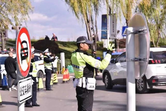 来昆观鸥！这样不堵！