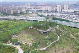 世博文化公园双子山与温室花园项目稳步推进图片