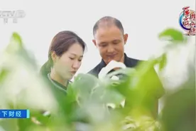 “一带一路”跨山海丨鲜花水果次日达！昆明和曼谷迎“芬芳”商机图片